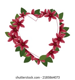 red flowers arranged in a heart shape
