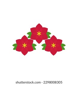 Red flowers blooming in spring and summer on white background. (seasonal, park, garden, plant, floral, blooming in spring, summer, outdoors)