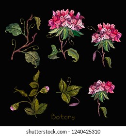 Red flowers botany embroidery decorative elements art collection Template for design of clothes, t-shirt design 