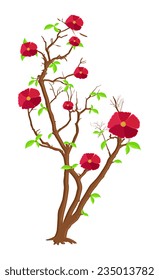 Red Flowers Branches