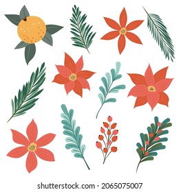 Red flowers, branches, Christmas tree branches, orange, mistletoe. Set of clipart elements. Flat vector illustration of plants for creating Christmas designs.