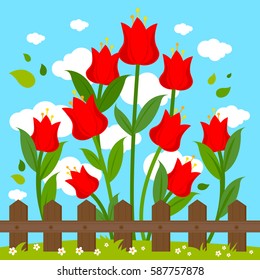 Red flowers in the garden behind a wooden fence. Vector illustration