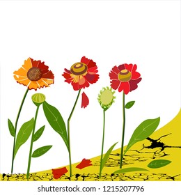 red flowers grow on grass