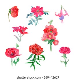 Red flowers. Hand Drawn Vector Watercolor Illustration. Isolated on white background.