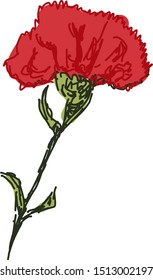 Flores rojas, ilustración, vector sobre fondo blanco.