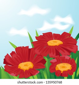 Red flowers on a background of the sky