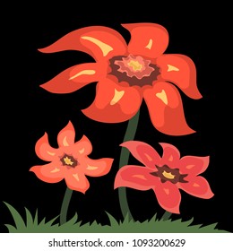 red flowers on black background