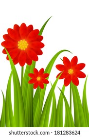 Red flowers on green grass