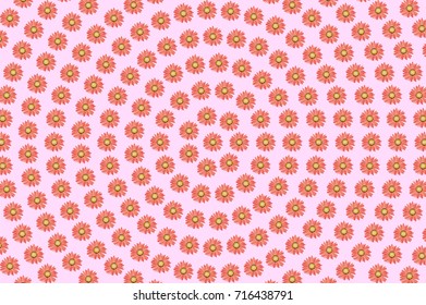 Red flowers on pink background. Floral vector pattern. Red bloom feminine wallpaper. Floral girlish wrapping paper. Spring or summer ornament. Chamomile flower circle texture. Frequent floral pattern.
