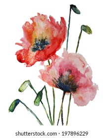 Red flowers. Poppies. Vector watercolor floral illustration. Floral decorative element. Vector floral background.