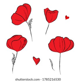Flores rojas amapola, traza de la mano del vector tulipán. Para embalaje, tela, envoltura, fondo