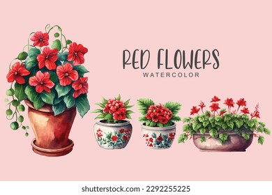 flores rojas en macetas colocadas sobre fondo aislado simple, ilustración de acuarela de flores rojas	