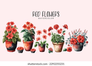 red flowers in pots set on isolated simple background, red flower watercolor illustration	