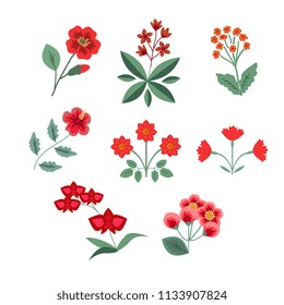 Red flowers vector isolated set