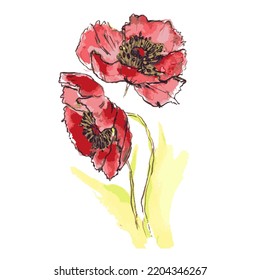 Red flowers watercolor hand drawn.Vector illustration
Design for wallpaper invitations fabrics. Hand drawn floral illustration isolated on white background.