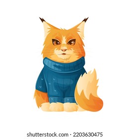 Red fluffy cat in knitted blue jersey