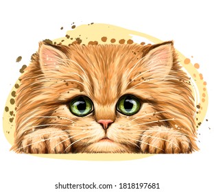 Red fluffy kitten. Wall sticker. Color, artistic, portrait of a red, fluffy kitten in watercolor style on a white background. Digital vector drawing