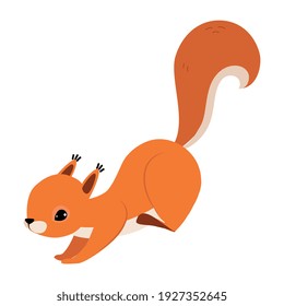 Red Fluffy Squirrel with Bushy Tail in Jumping Pose Vector Illustration