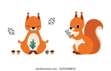 Red Fluffy Squirrel with Bushy Tail Sitting and Meditating in Yoga Pose Vector Set