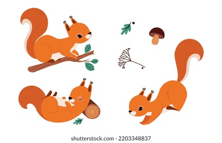 Red Fluffy Squirrel with Bushy Tail Sitting on Tree Branch and Jumping Vector Set