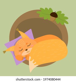 Red Fluffy Squirrel Sleeping on a Pillow Vector Illustration
