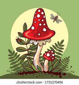 Red fly agaric. A beautiful but poisonous mushroom.