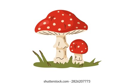 Red fly agaric 