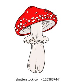 Red fly agaric mushroom isolated on white background. Hand drawn vector illustration.