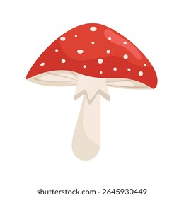 cogumelo agárico mosca vermelha isolado em fundo branco. Fungos florestais de outono em estilo plano. Ilustração vetorial.
