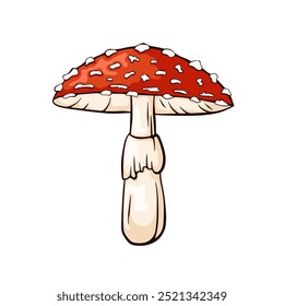 Red fly agaric mushroom with white spots in cartoon style. Perfect for nature design, botanical project, education material and mushroom identification guides.