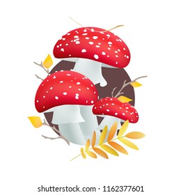 Red fly agaric. Toadstool mushroom