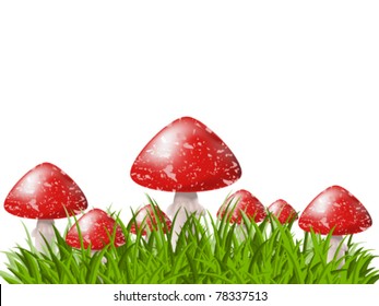 Red fly agarics in the grass