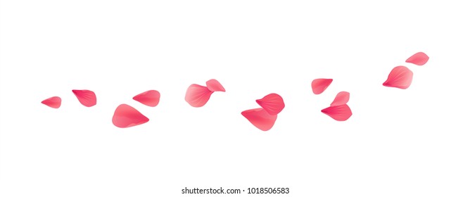 Red flying petals isolated on White background. Sakura Roses petals. Vector EPS 10 cmyk