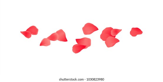 Red flying petals isolated on White background. Sakura Roses petals. VectorEPS 10 cmyk