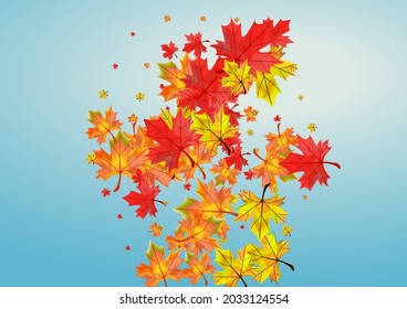 Red Foliage Background Blue Vector. Floral October Frame. Green Seasonal Plant. Beautiful Leaves Design.