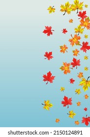 Red Foliage Background Blue Vector. Leaves Isolated Texture. Autumnal Flying Leaf. Tree Floral Template.