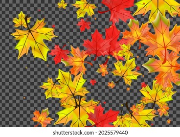 Red Foliage Background Transparent Vector. Plant Realistic Frame. Orange Canadian Floral. Design Leaf Card.