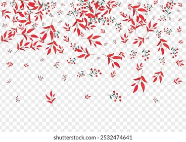 Red Foliage Background Transparent Vector. Berries Object Texture. Burgundy Leaf. Pink Rowan October. Agriculture Frame.