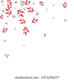 Red Foliage Background White Vector. Rowan Dry Card. Green Herb. Burgundy Leaf November. Drawn Frame.