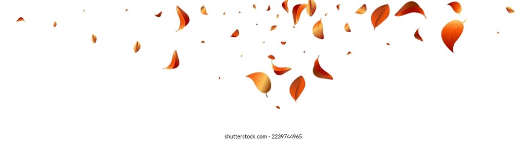 Red Foliage Herbal Vector White Panoramic Background Brochure. Forest Leaf Pattern. Golden Leaves Wind Illustration. Solar Blur Poster.