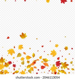 Red Foliage Vector Transparent Background. September Leaf Template. Golden Decoration Leaves Design. Bright Texture.