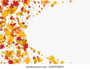 Red Foliage Vector Transparent Background. October Floral Illustration. Golden Beautiful Leaves Card. September Frame.