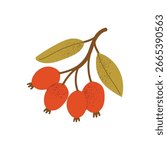 Red forest berries on brown branch with green leaves. Autumn wild fruit plant element. Flat vector illustration isolated on white background.