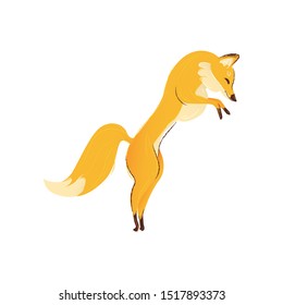 Red forest fox with a big red and orange lush tail jumps and hunts. Wild hand drawing animal fox jumping and hunting, isolated cartoon vector illustration.