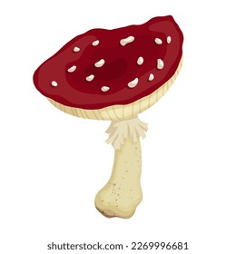 Red forest mushroom fly agaric. Cartoon vector graphics.