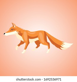 Red fox, animal painted on red background