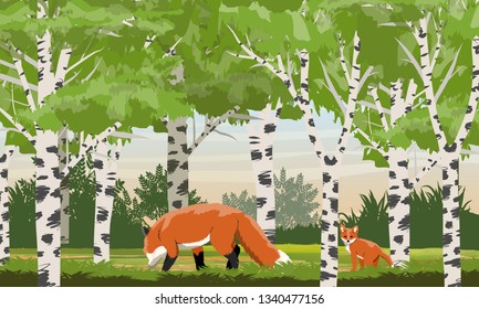 Red fox in a birch grove. Wild animals of the forest. Animals of Europe and America. Realistic Vector Landscape