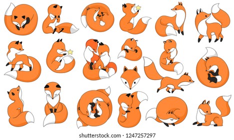 Red fox collection. Cute animal set for prints and posters