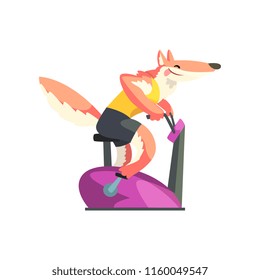 Red fox exercising on stationary bike wearing sports uniform, sportive animal character, fitness and healthy lifestyle vector Illustrations on a white background