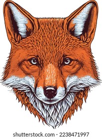 Ilustración 01 de Red Fox Face Close Up